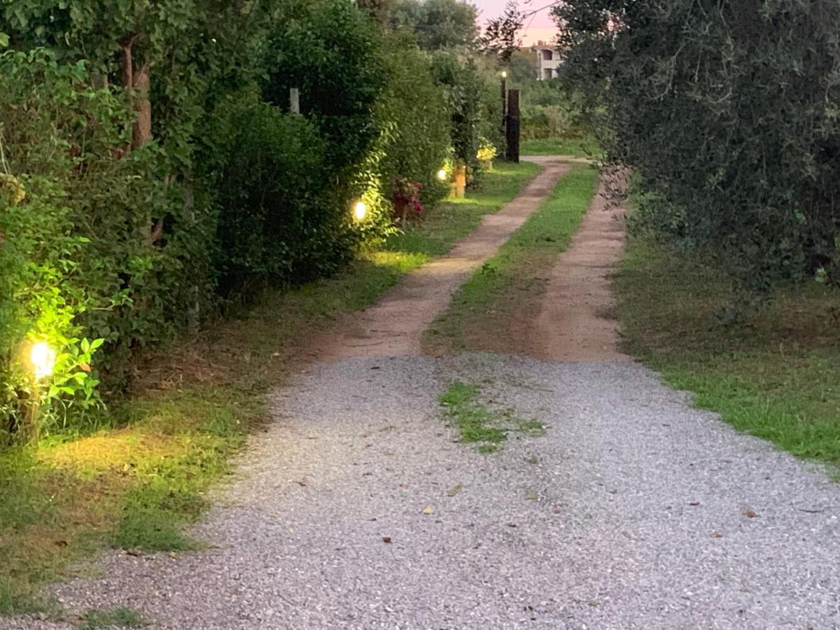 Camera Graziosa Albinia Eksteriør bilde